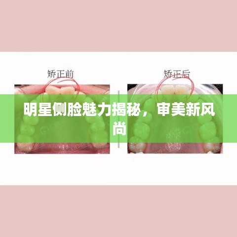 明星侧脸魅力揭秘，审美新风尚
