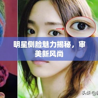明星侧脸魅力揭秘，审美新风尚