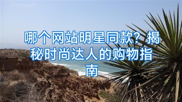 哪个网站明星同款？揭秘时尚达人的购物指南