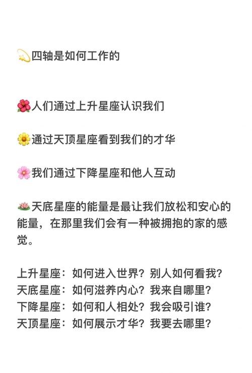 巨星攻略，成为娱乐圈闪耀之星的秘籍
