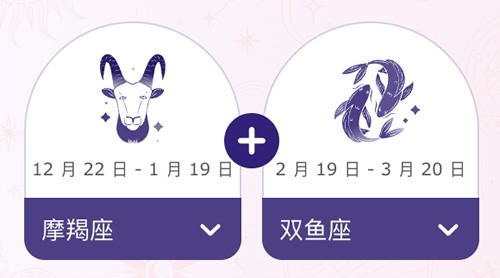 摩羯座和双鱼座结婚后会幸福吗？