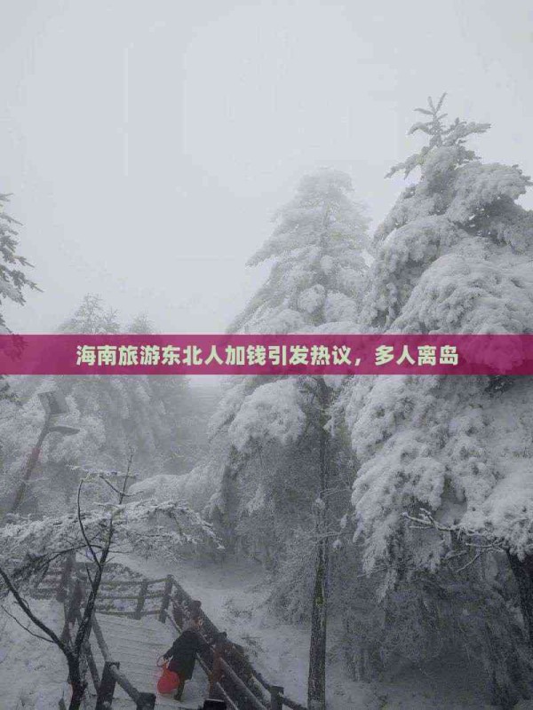 海南旅游东北人加钱引发热议，多人离岛