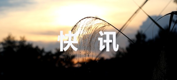 快讯