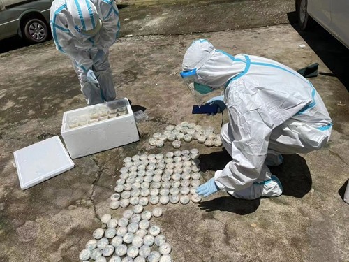 生物科普不是“卖萌比赛”——从土拨鼠走红说起