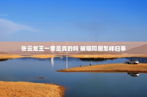 张云龙王一菲是真的吗 被曝同居怎样归事