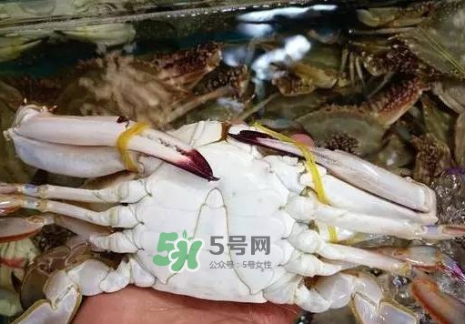 梭子蟹放冷藏还是冷冻？梭子蟹可以放速冻吗？