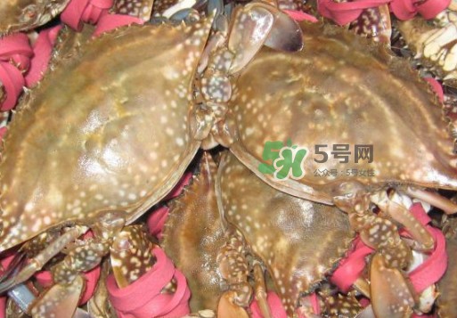 梭子蟹放冷藏还是冷冻？梭子蟹可以放速冻吗？