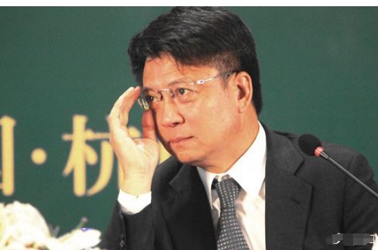 孙宏斌背后的人