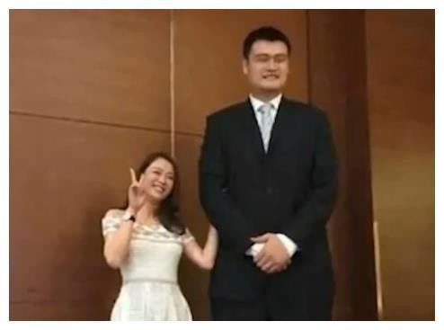 明星最萌身高差，何炅被夹在中间，而她像童话里的小矮人