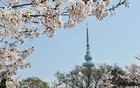 爱恨情仇5：聂磊请加代帮忙