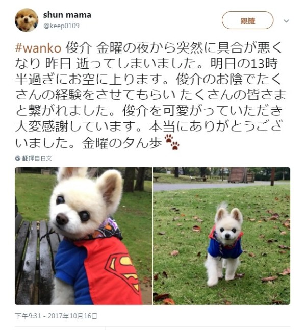 主人发文