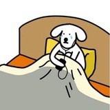 不听你的不行吗