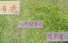 海港还差4分就能做榜一大哥了 现在来看莱昂纳多买得也值