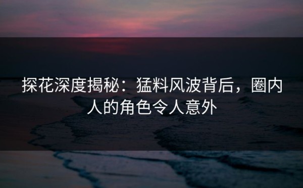 探花深度揭秘：猛料风波背后，圈内人的角色令人意外
