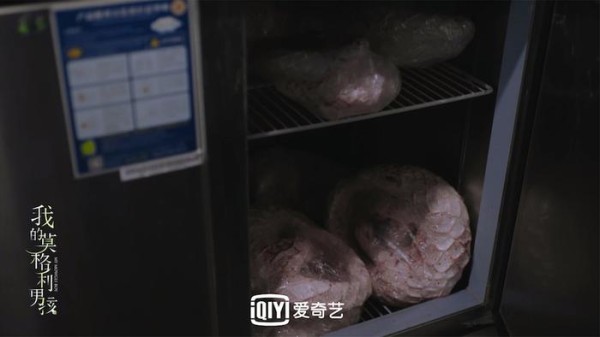 《我的莫格利男孩》引发全民关注 圈内艺人纷纷支持保护穿山甲