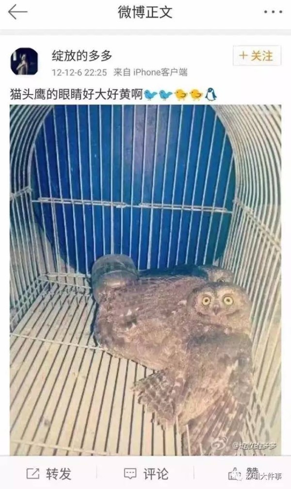 不过，南都记者在查阅“绽放的多多”的微博发现，其微博中上述有关穿山甲的微博图片已经被删除。