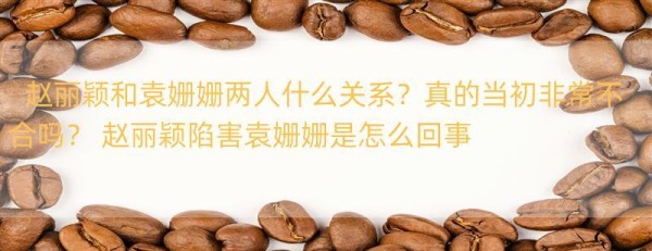 赵丽颖和袁姗姗的关系怎么样？ 曾经有过矛盾吗？ 赵丽颖是不是陷害了袁姗姗？