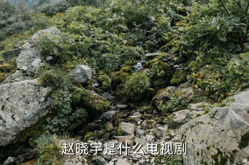 赵晓宇是什么电视剧