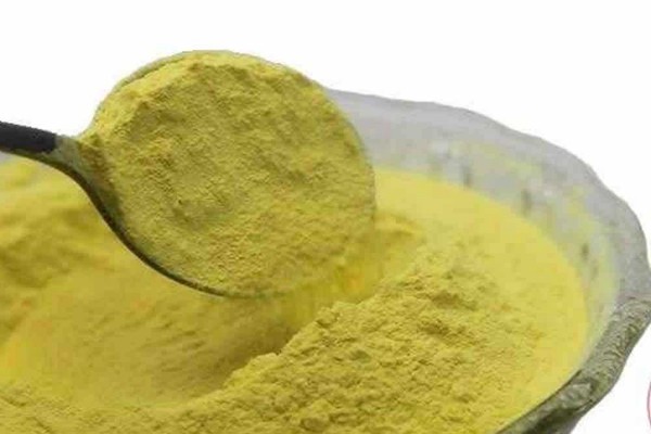 松花粉多少钱一斤？怎样辨别松花粉的真假？