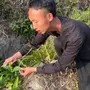 民间平哥