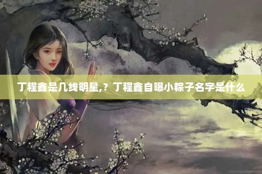丁程鑫是几线明星,？丁程鑫自曝小粽子名字是什么