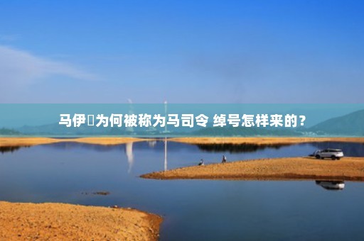 马伊琍为何被称为马司令 绰号怎样来的？