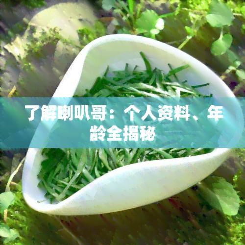 熟悉喇叭哥：个人资料、年龄全揭秘