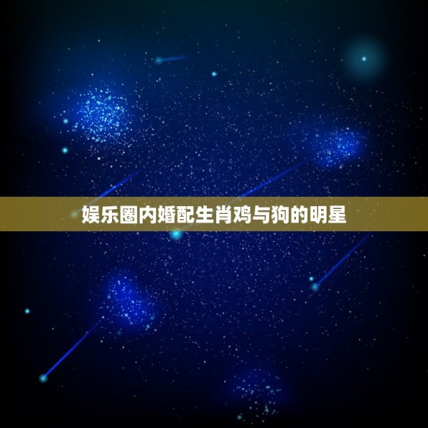 娱乐圈内婚配生肖鸡与狗的明星，鸡与狗结婚成功名人 第1张