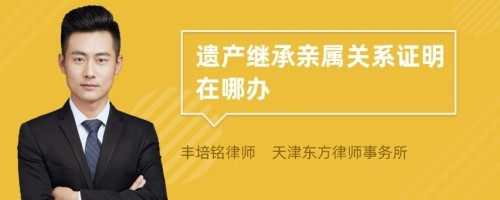 遗产继承亲属关系证明在哪办