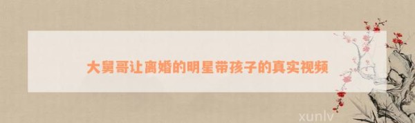 大舅哥让离婚的明星带孩子的真实视频