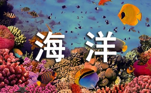 游青岛极地海洋世界作文4篇