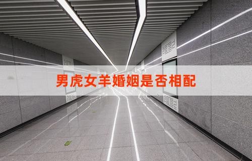 男虎女羊婚姻是否相配