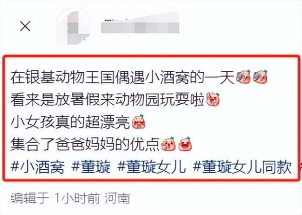 董璇与女儿小酒窝现身游乐园 暑期母女同乐时光