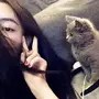 娱乐圈大喵