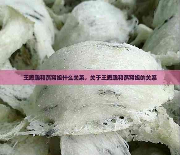王思聪和燕窝姐什么关系，关于王思聪和燕窝姐的关系