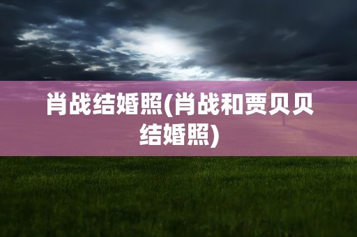 肖战结婚照(肖战和贾贝贝结婚照)