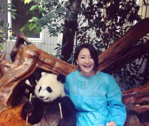 明星和熊猫合影 唯独他“封了”熊猫奇经八脉