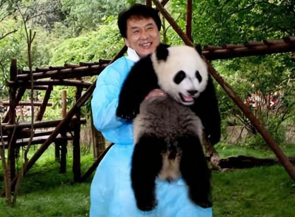 明星和熊猫合影 唯独他“封了”熊猫奇经八脉