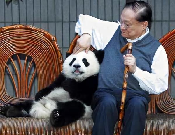 明星和熊猫合影 唯独他“封了”熊猫奇经八脉