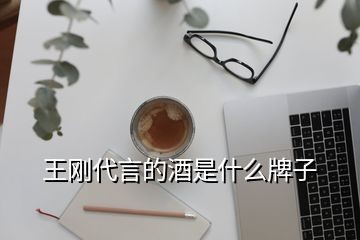 王刚代言的酒是什么牌子