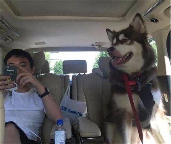 王思聪称鹿晗私生活混乱，预测半年后与关晓彤分手