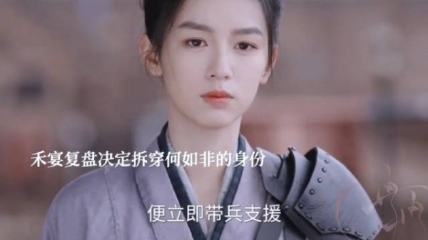 禾宴欲揭何如非身份,徐相警告,楚昭识破婿娉婷再出手