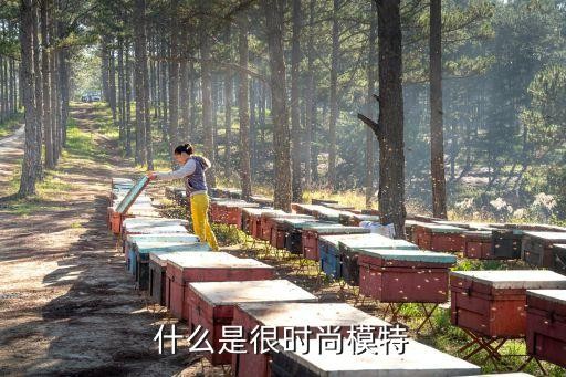 时尚模特，什么是很时尚模特