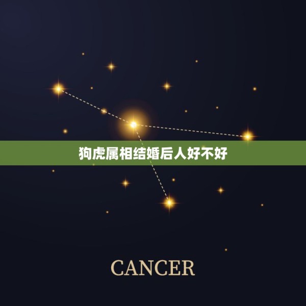 狗虎属相结婚后人好不好，属狗和属虎结婚属相相配么？ 第1张