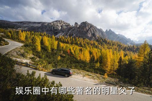 娱乐圈中有哪些著名的明星父子