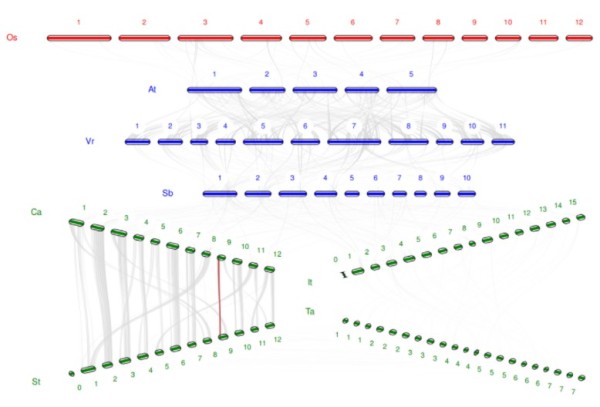 attachments-2023-09-vsDuSBbB6512a5d0cb7a5.png