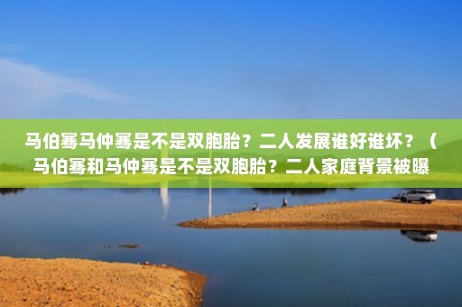马伯骞马仲骞是不是双胞胎？二人发展谁好谁坏？（马伯骞和马仲骞是不是双胞胎？二人家庭背景被曝光）