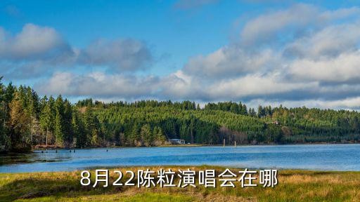 8月22陈粒<a target=