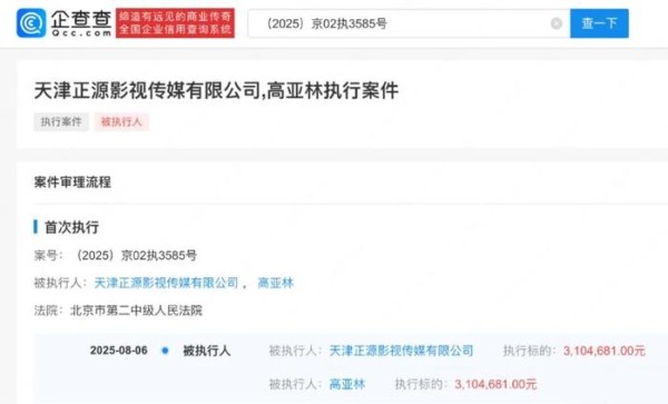 演员高亚麟及关联公司被强制执行310万余元！此前因出轨、家暴风波，热播剧被AI换脸