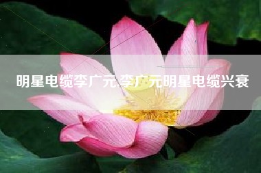 明星电缆李广元,李广元明星电缆兴衰
